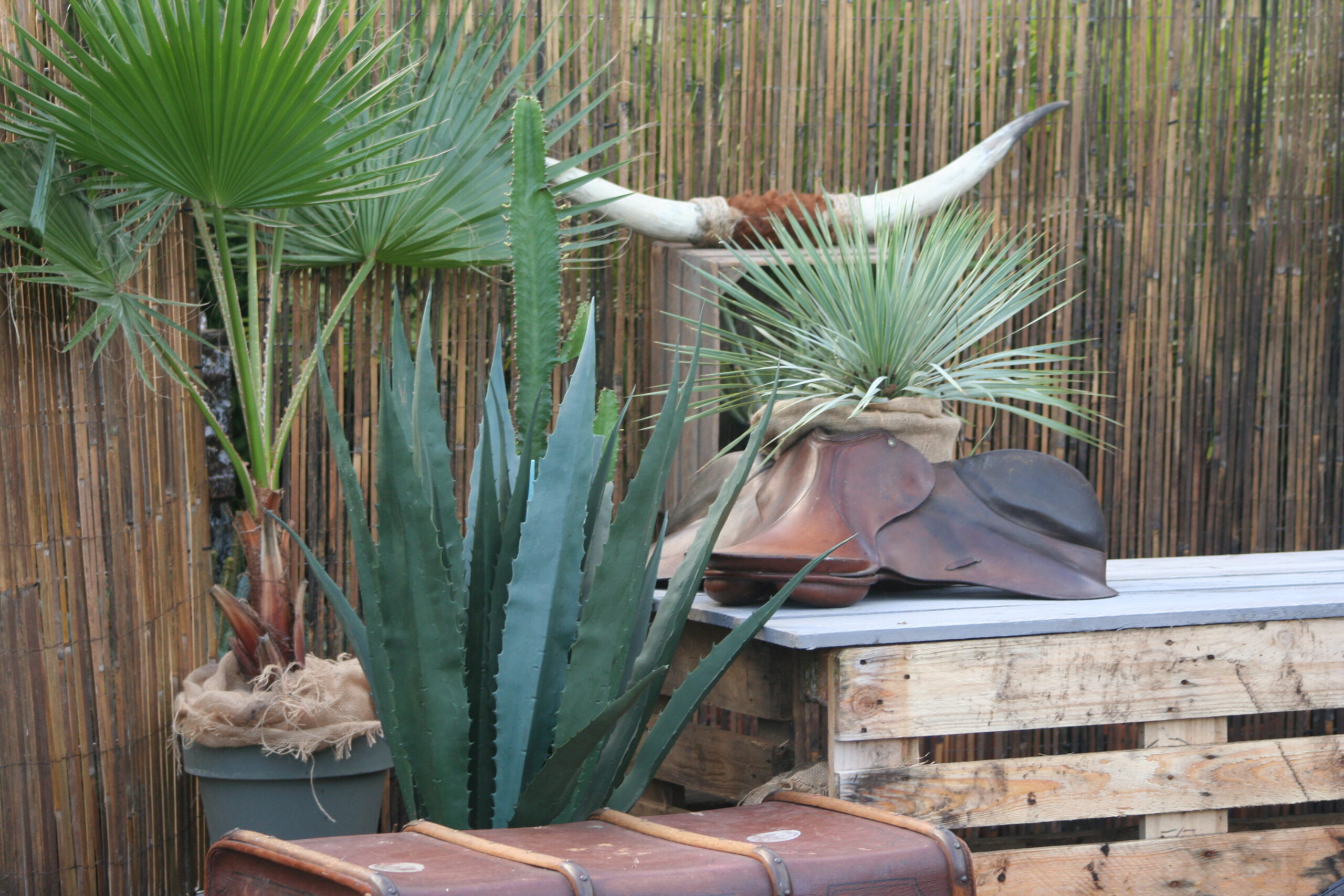 Thema_western decor